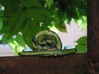 De l'autre c�t� du ciel