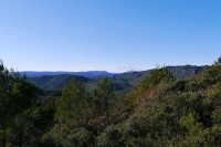 Randonn&eacute;e &agrave;  : Dans le Bois de Cavaillon