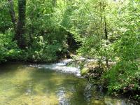 Randonn&eacute;e : Les Gorges du Caramy