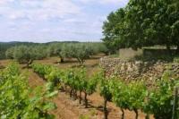 Sca les caves de l'amiral