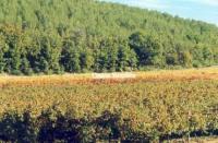 Chateau la margilliere