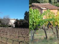 Chateau la curniere