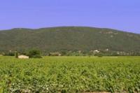 Domaine du loou