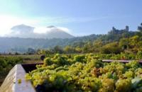 Domaine la mercadine