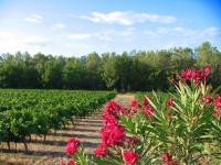 Domaine ramatuelle