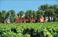 Chateau real martin