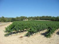 Domaine des roches blanches