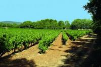 Domaine saint julien