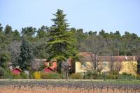 Domaine saint mitre