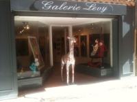 Galerie levy