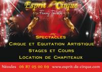 Esprit de cirque