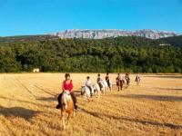 Centre �questre et poney club