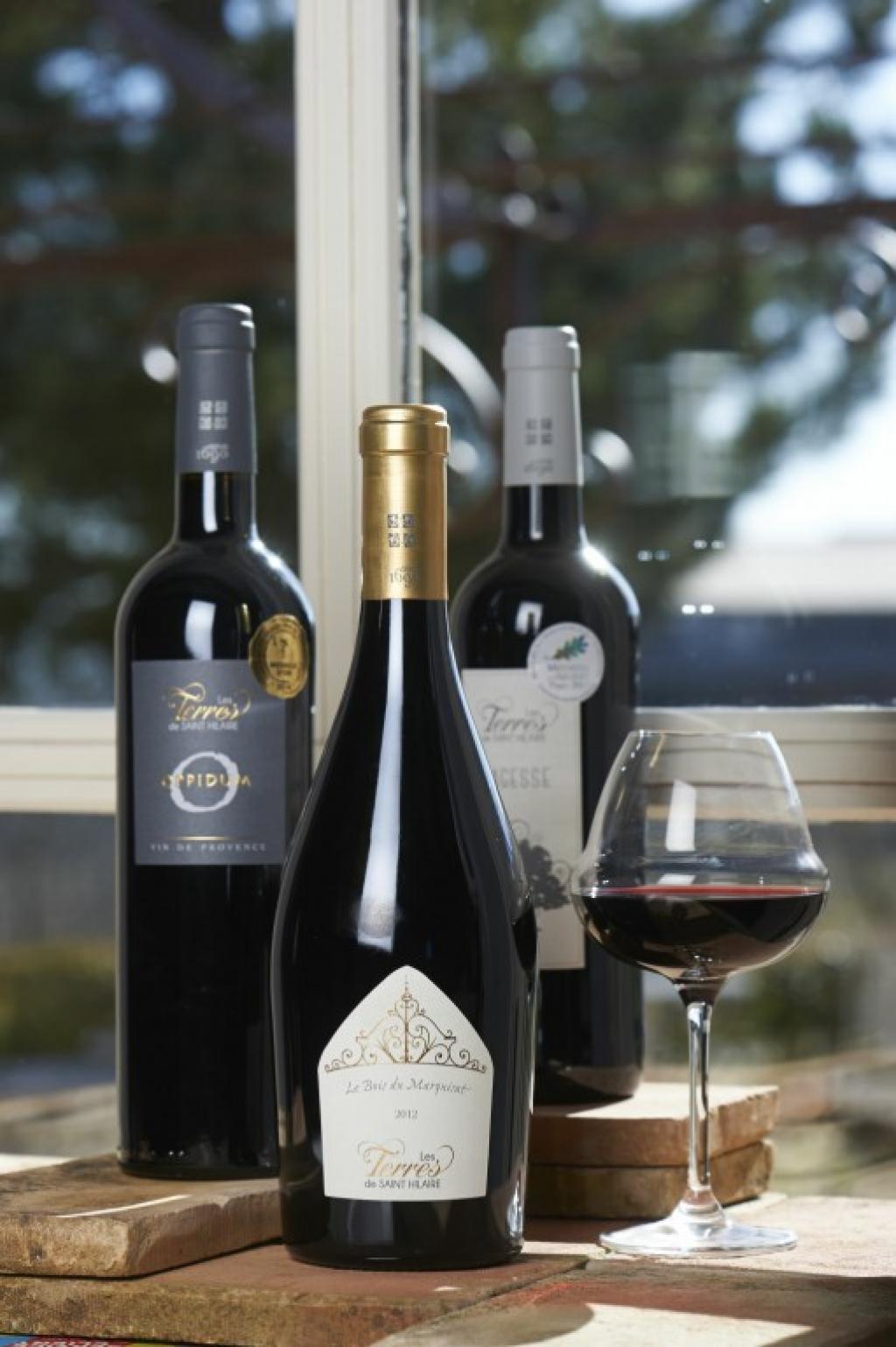 Vin De Vinc Saint Genis Les Ollieres