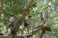 Parcours accrobranche l'�le aux accros