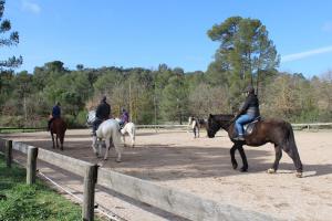 Rando � cheval