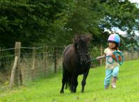 Poney pour les bouts de chou