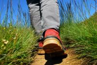 Les plus belles randonn�es p�destres en Provence Verte