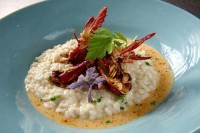 Risotto aux �crevisses