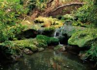 Les sites naturels � visiter en Provence Verte