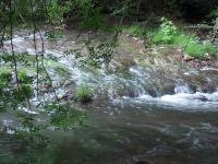 Entre les rivi�res caramy et argens