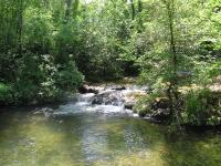 Baignade dans les gorges du caramy