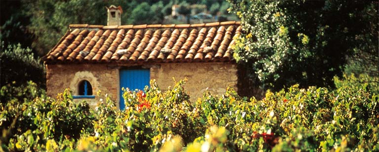Vignobles & Découvertes en Provence Verte