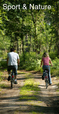 Sejour sport et nature en Provence Verte