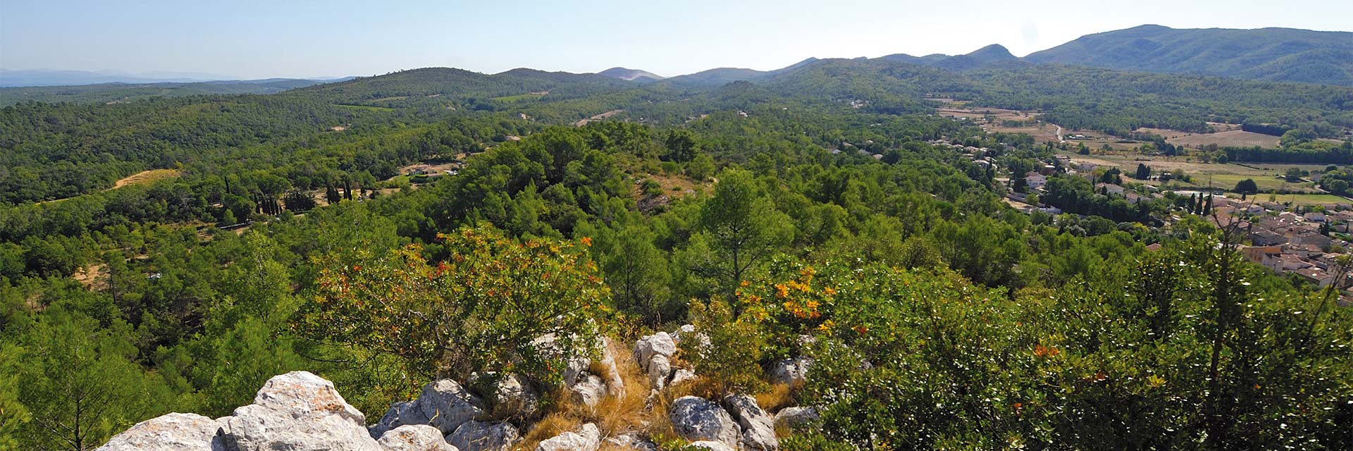 Canoë - Paddle en Provence Verte & Verdon