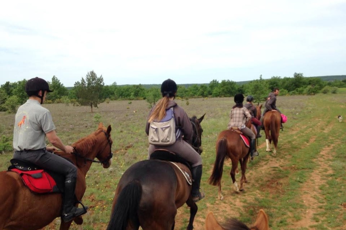Balade à cheval ou poney