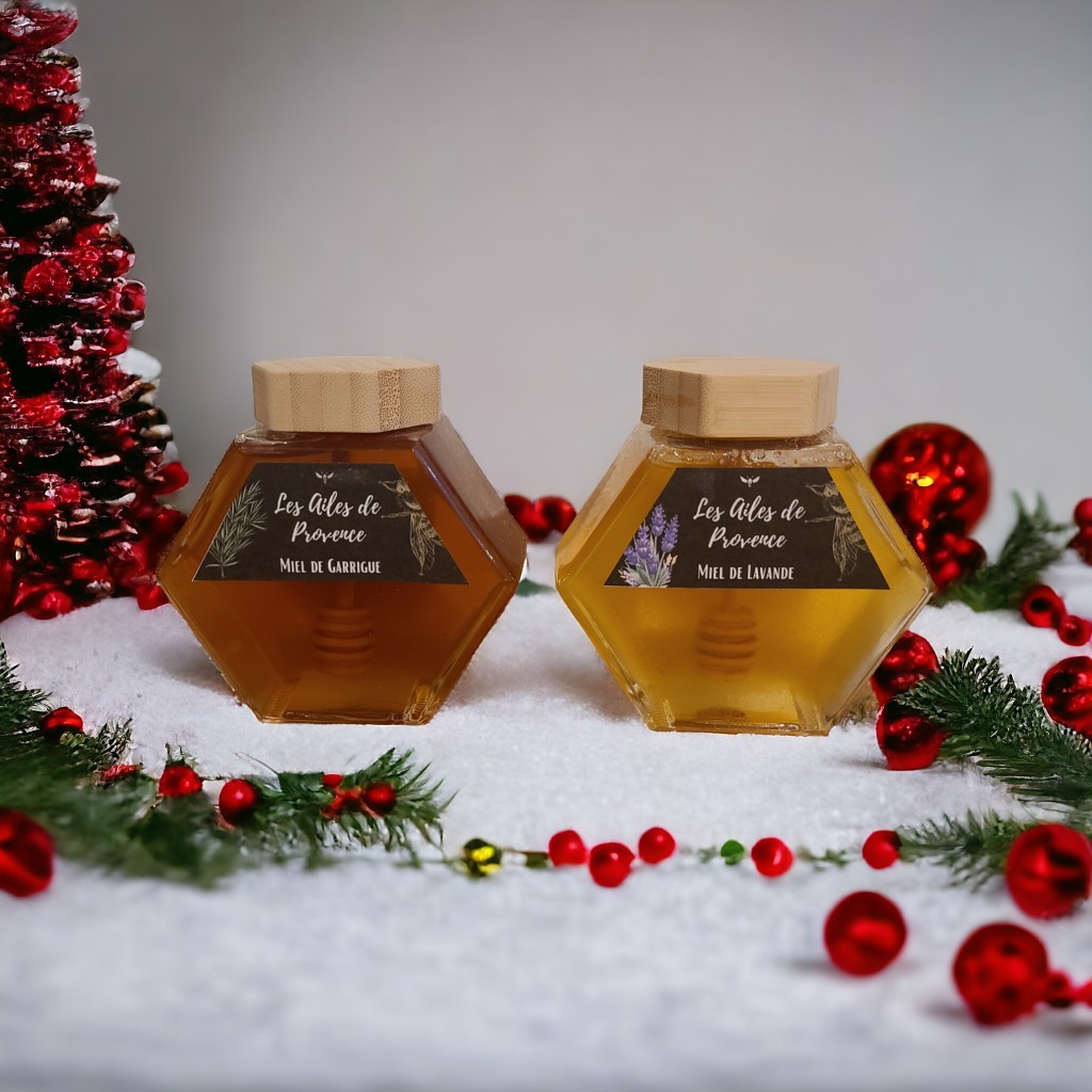 Les Ailes de Provence à Mazaugues