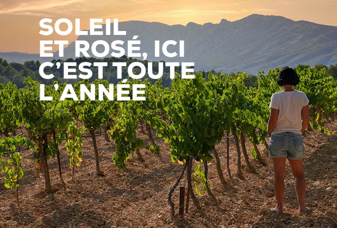 Le VIN ROSÉ de Provence
