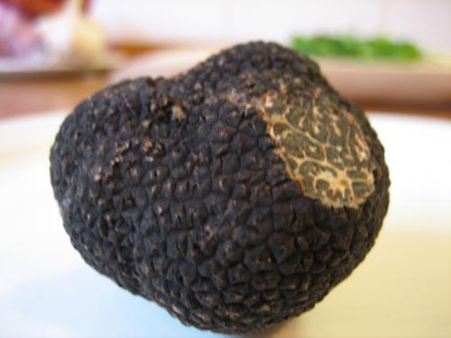 Recettes Provencales Brandade De Morue A La Truffe