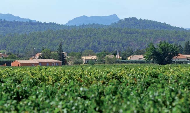 Montfort sur Argens en Provence Verte