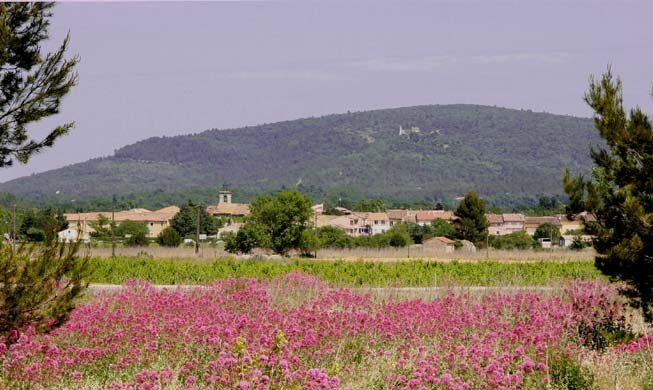 Garéoult en Provence Verte & Verdon