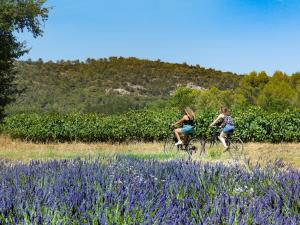 Dossier de presse : FR-Fascinant Week-End 2023 en Provence et Bandol - Vignobles & Découvertes 