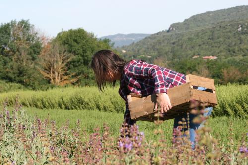 ESPARRON: Découverte sensorielle des aromates de Provence
