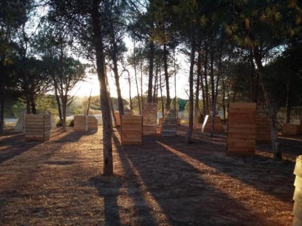 Excursions Groupes en Provence