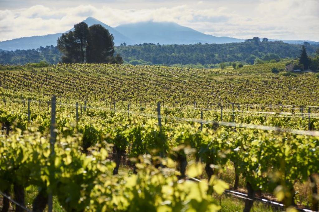 Excursions Groupes en Provence