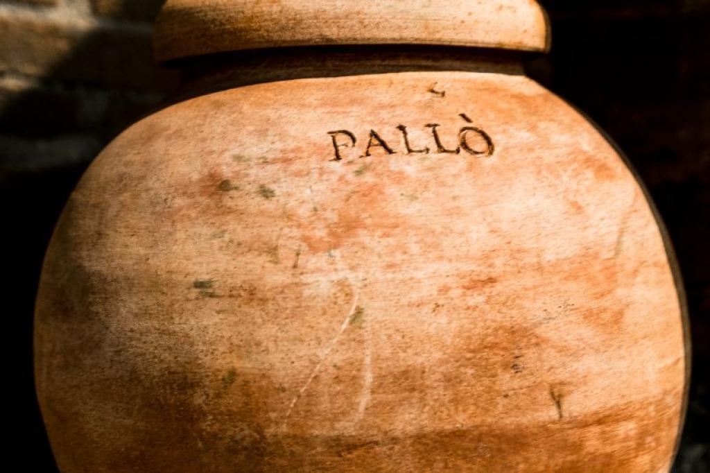 Excursions Groupes en Provence