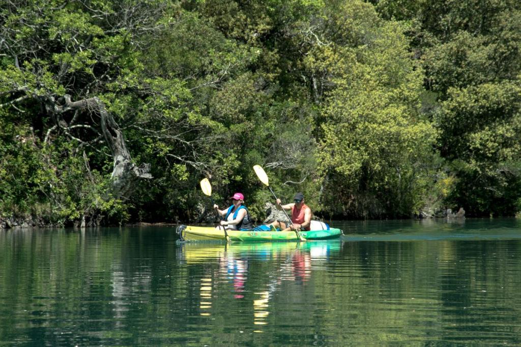 Excursions Groupes en Provence