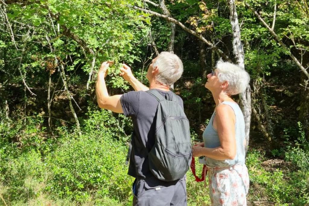 Excursions Groupes en Provence