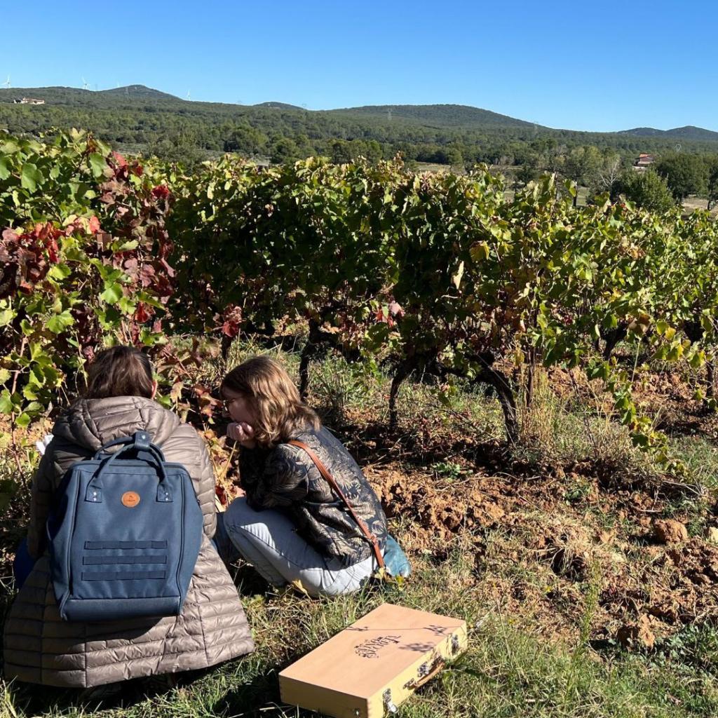 Excursions Groupes en Provence