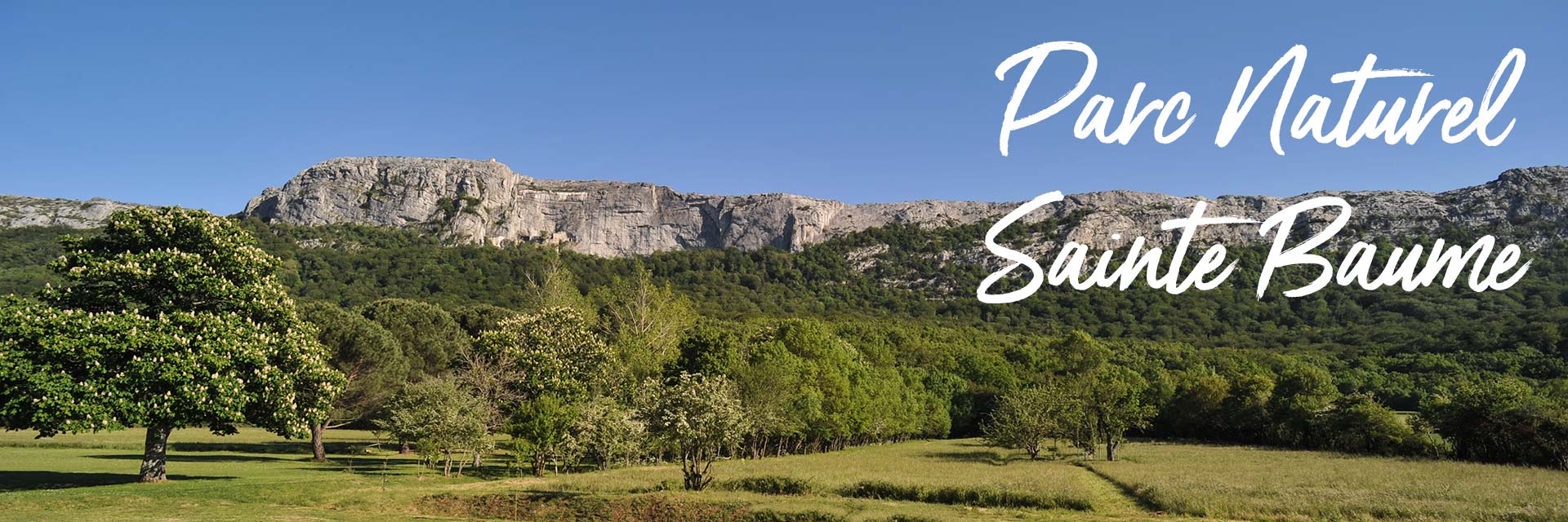 Randonnées en Provence Verte & Verdon